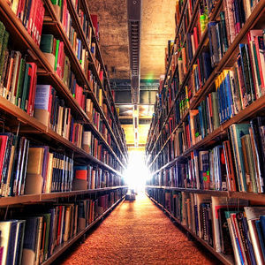 Meet your Posher, Vidita